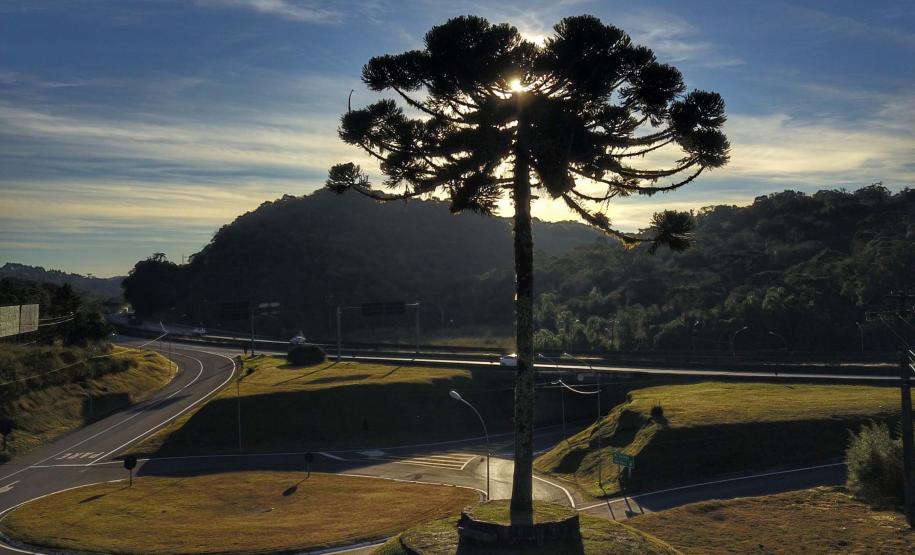 Unicentro fortalece parceria com universidade alemã para estudar manejo florestal