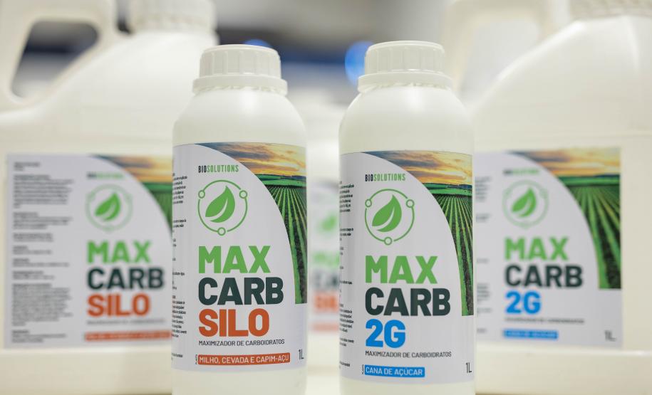 Projeto da UEM aproveita bagaço de cana-de-açúcar para aumentar produção de etanol