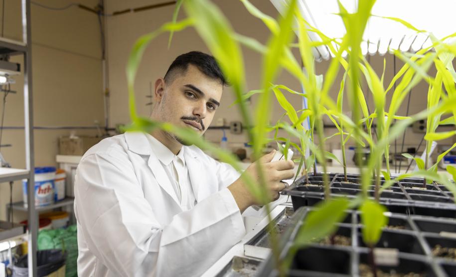 Projeto da UEM aproveita bagaço de cana-de-açúcar para aumentar produção de etanol