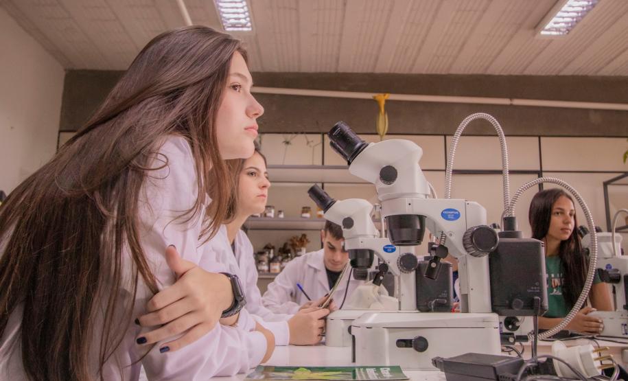 Ciência revolucionária: no Paraná, mulheres são maioria no sistema de ensino superior