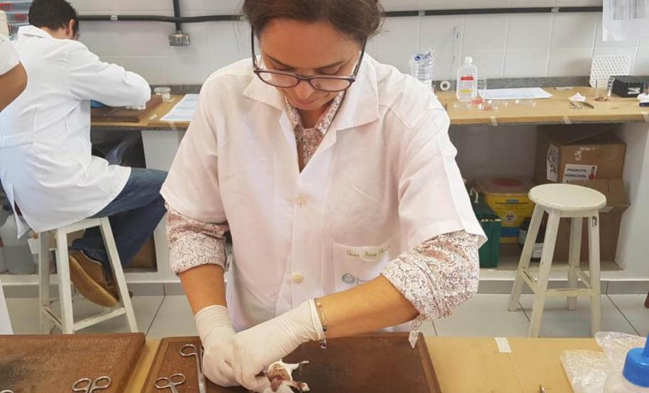 Ciência revolucionária: no Paraná, mulheres são maioria no sistema de ensino superior