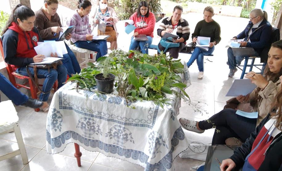 Projeto da Unicentro incentiva uso de plantas medicinais para gerar renda a agricultoras