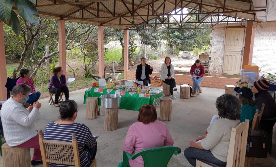 Projeto da Unicentro incentiva uso de plantas medicinais para gerar renda a agricultoras