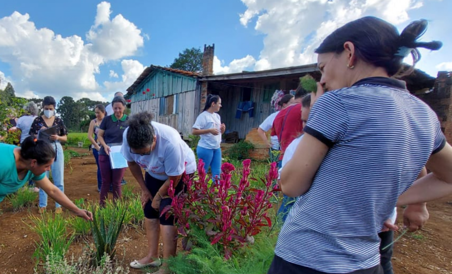 Projeto da Unicentro incentiva uso de plantas medicinais para gerar renda a agricultoras