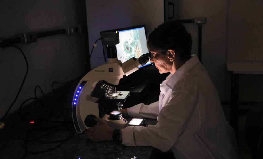 Estudos financiados pelo Estado pesquisam formas de aumentar o combate ao câncer em mulheres