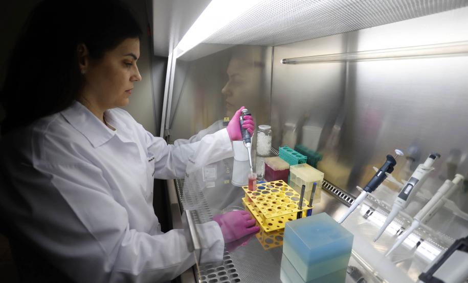 Estudos financiados pelo Estado pesquisam formas de aumentar o combate ao câncer em mulheres