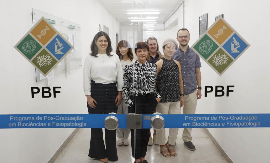 Estudos financiados pelo Estado pesquisam formas de aumentar o combate ao câncer em mulheres