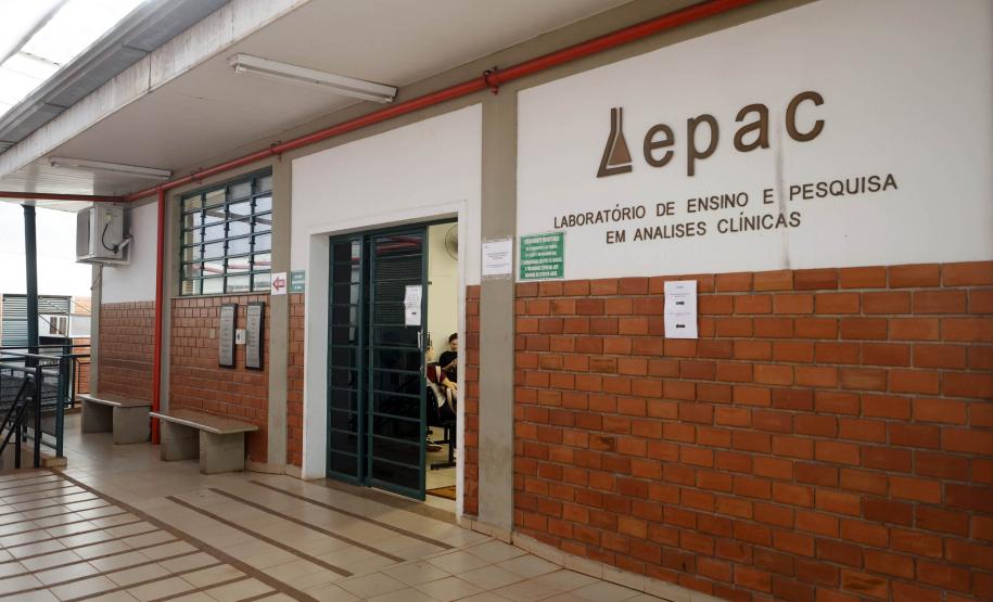 Estudos financiados pelo Estado pesquisam formas de aumentar o combate ao câncer em mulheres