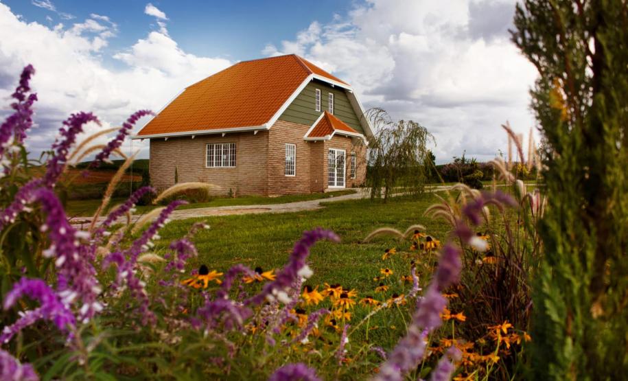 Turismo rural: governador sanciona lei que cria a Rota da Lavanda no Paraná