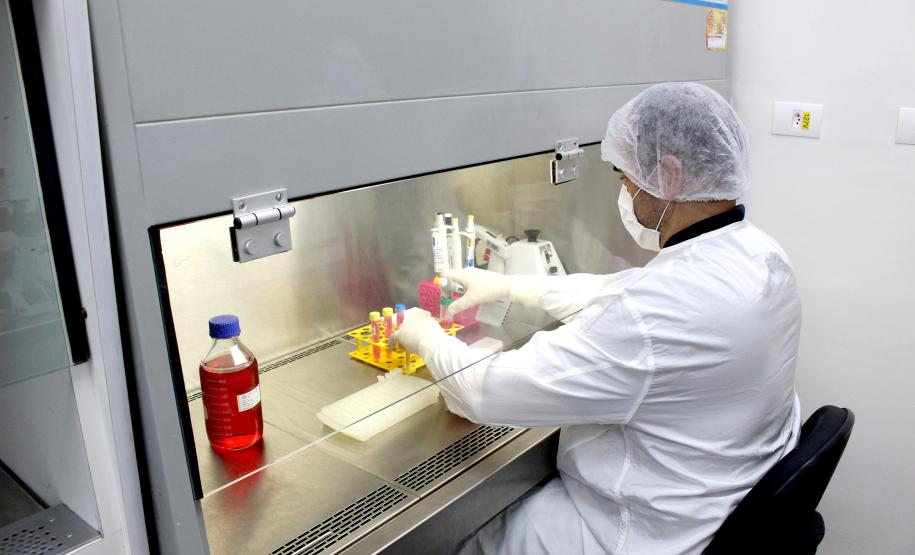 Com alcance em 27 países, Tecpar trabalha para aumentar testes que permitem viagens de animais