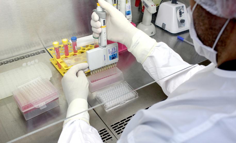 Com alcance em 27 países, Tecpar trabalha para aumentar testes que permitem viagens de animais