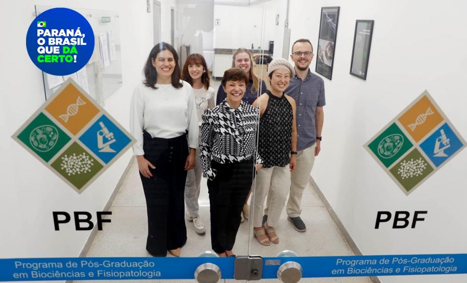 Pesquisadoras da UEM vão liderar projeto nacional de autocoleta de HPV