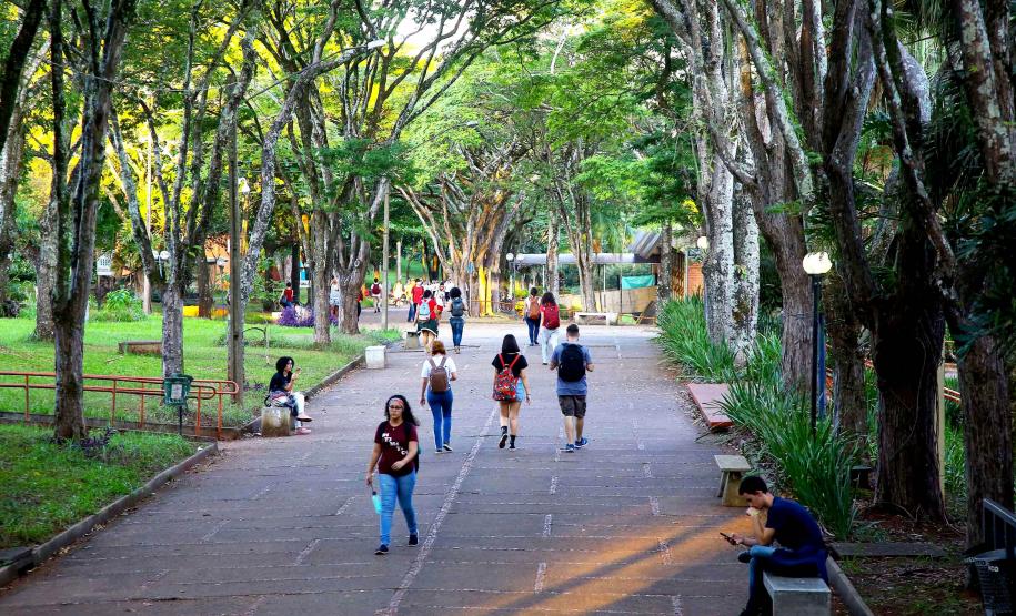 Ensino superior do Paraná está entre os mais bem avaliados do Brasil