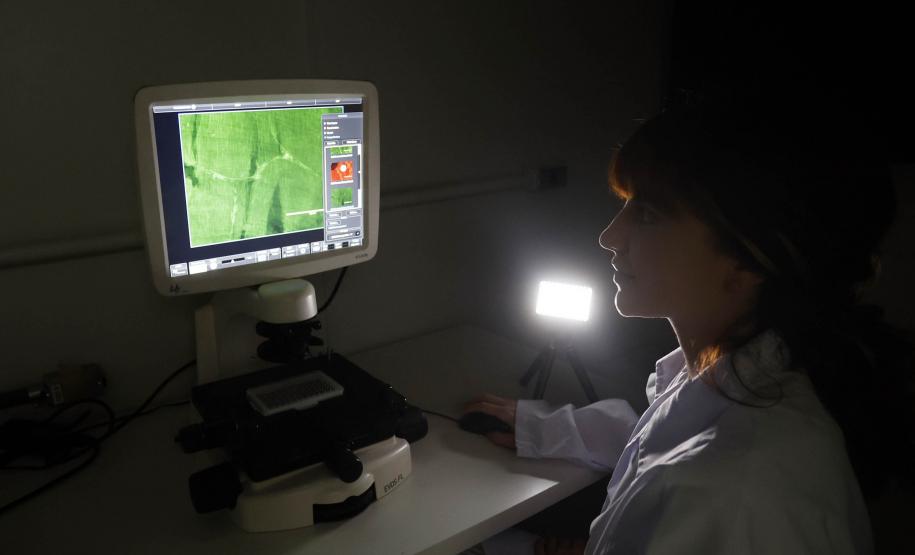 Pesquisadoras da UEM vão liderar projeto nacional de autocoleta de HPV