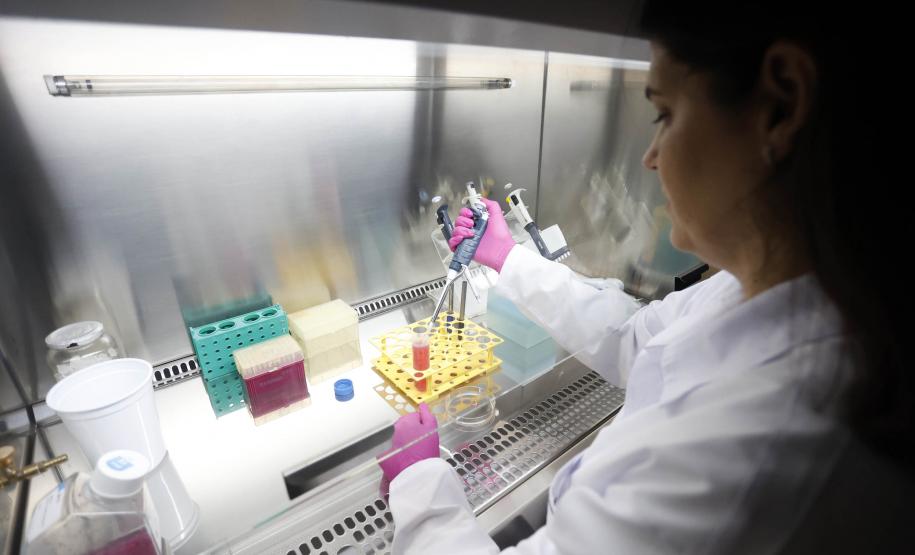 Pesquisadoras da UEM vão liderar projeto nacional de autocoleta de HPV