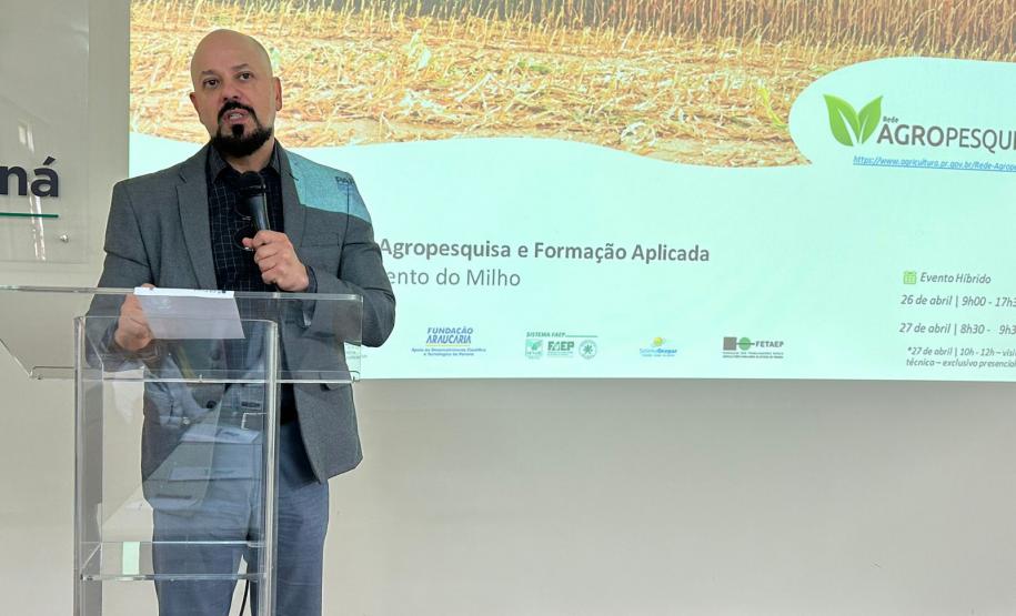 Encontro em Londrina formaliza rede de pesquisa que vai combater enfezamento do milho