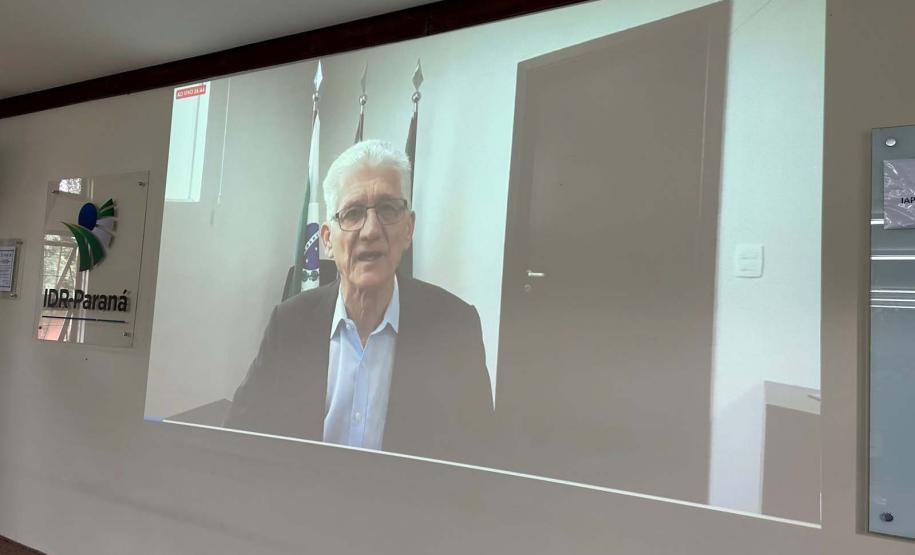 Encontro em Londrina formaliza rede de pesquisa que vai combater enfezamento do milho