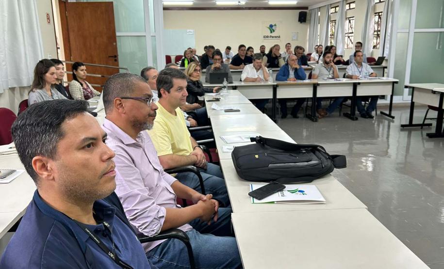 Encontro em Londrina formaliza rede de pesquisa que vai combater enfezamento do milho