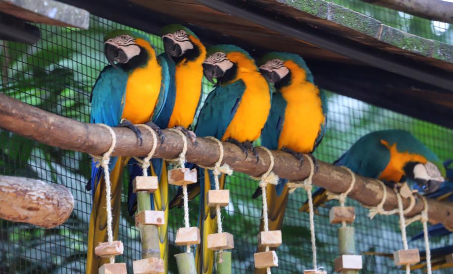 Dia da Biodiversidade: união do Estado com universidades amplia cuidado com a fauna silvestre