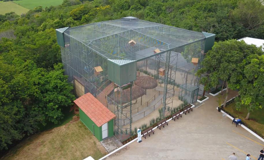 Dia da Biodiversidade: união do Estado com universidades amplia cuidado com a fauna silvestre