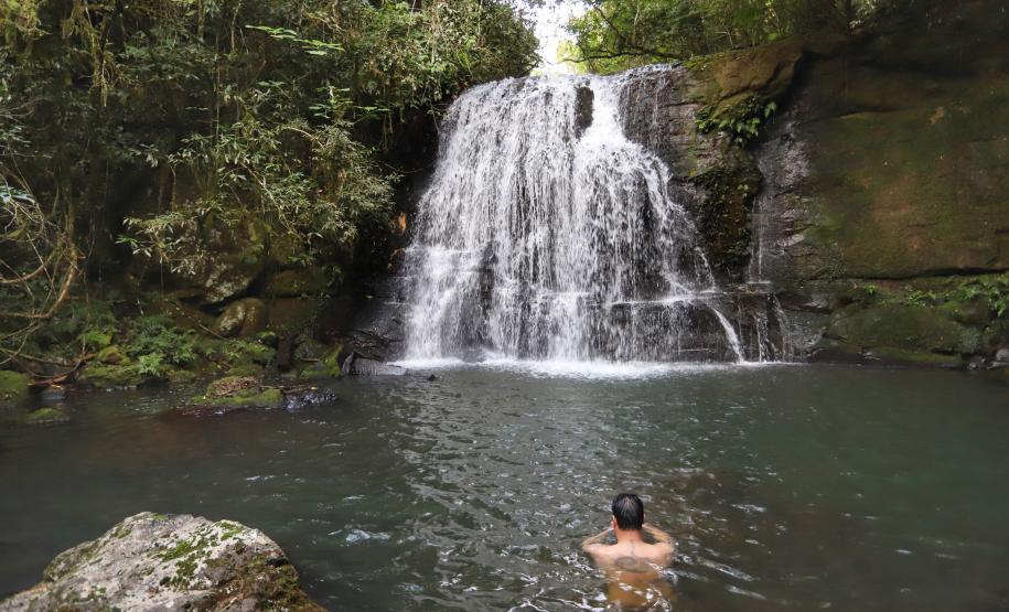 Capacitação em turismo: site do Governo do Estado traz todas as opções ofertadas no Paraná