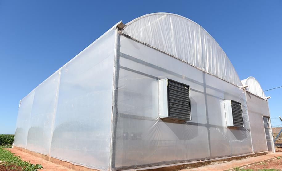 Com alta tecnologia, nova casa de vegetação da UENP expande ensino de agronomia