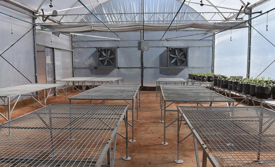 Com alta tecnologia, nova casa de vegetação da UENP expande ensino de agronomia