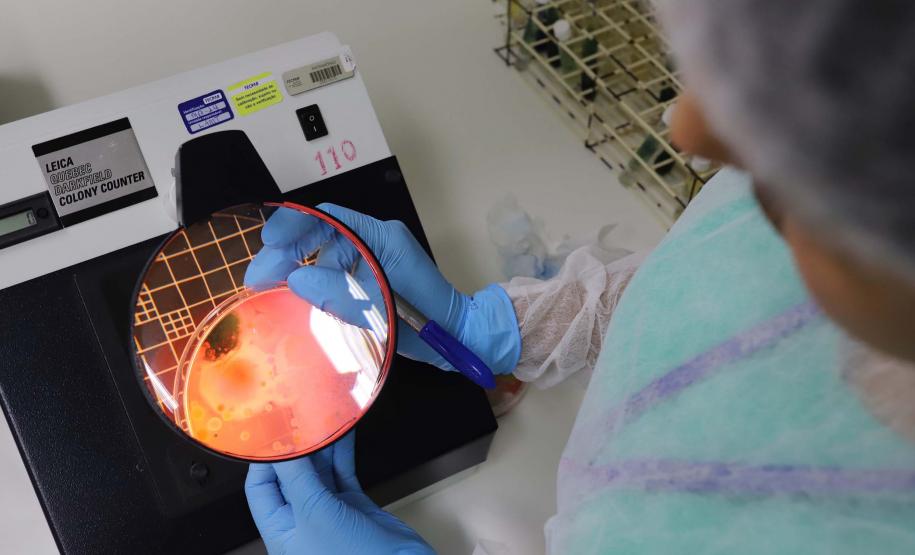 Tecpar completa 83 anos a serviço da sociedade e projeta futuro com inovações e novos produtos