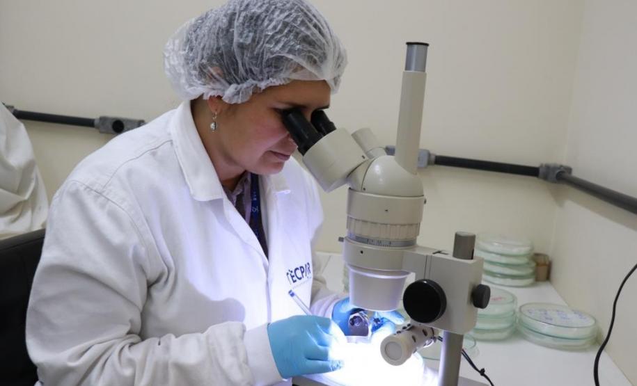 Estado busca projetos de P&D de diferentes segmentos produtivos para receber até R$ 20 milhões