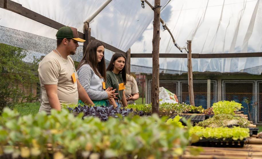 Jornada de Educação Ambiental capacita profissionais da rede estadual de ensino