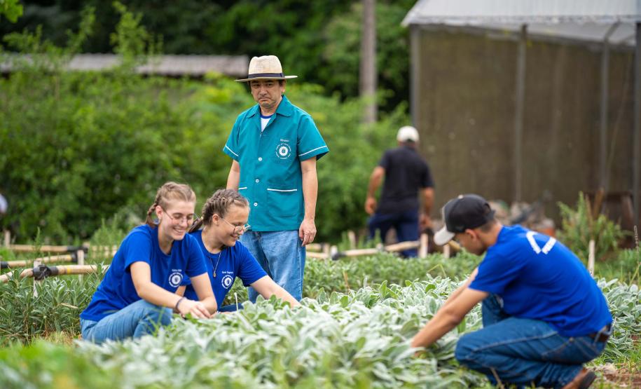 Jornada de Educação Ambiental capacita profissionais da rede estadual de ensino