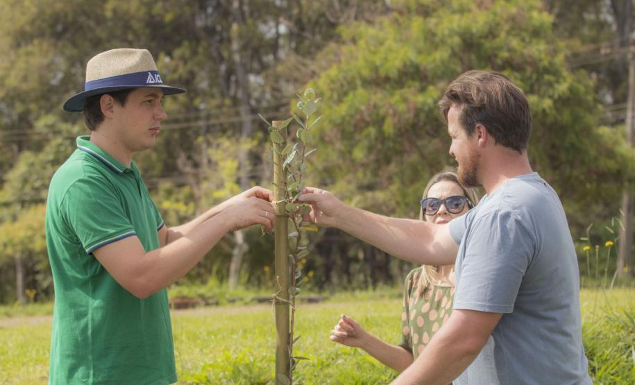 Universidades estaduais do Paraná voltam a se destacar em ranking global de sustentabilidade