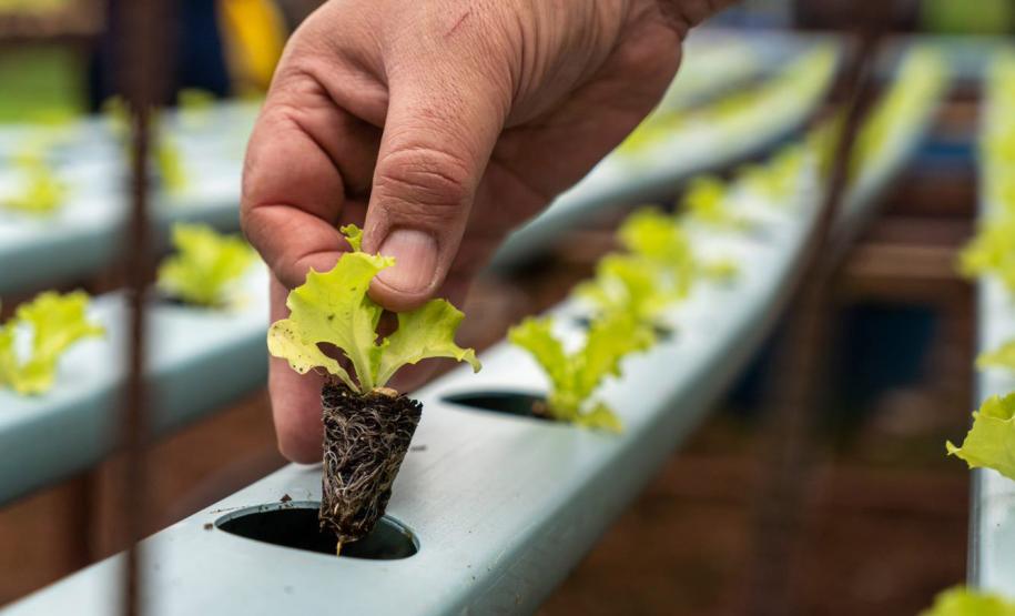 Jornada de Educação Ambiental capacita profissionais da rede estadual de ensino