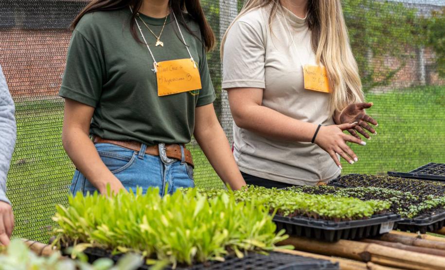 Jornada de Educação Ambiental capacita profissionais da rede estadual de ensino