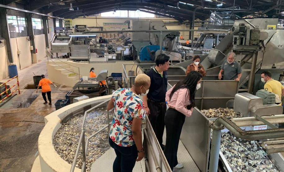 Unicentro desenvolve pesquisa sobre biodiesel de óleo da semente de seringueira