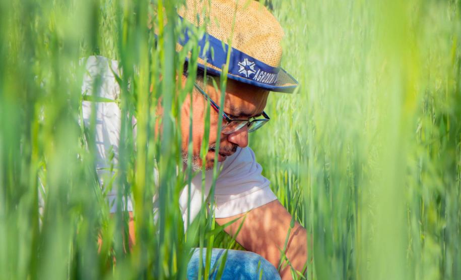 Fazenda Escola da UEPG reduz emissão de 400 toneladas de carbono por safra