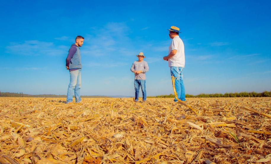 Fazenda Escola da UEPG reduz emissão de 400 toneladas de carbono por safra