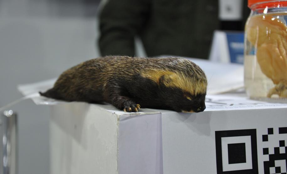 Estado apresenta suas ações de fomento científico e tecnológico focadas na pesquisa