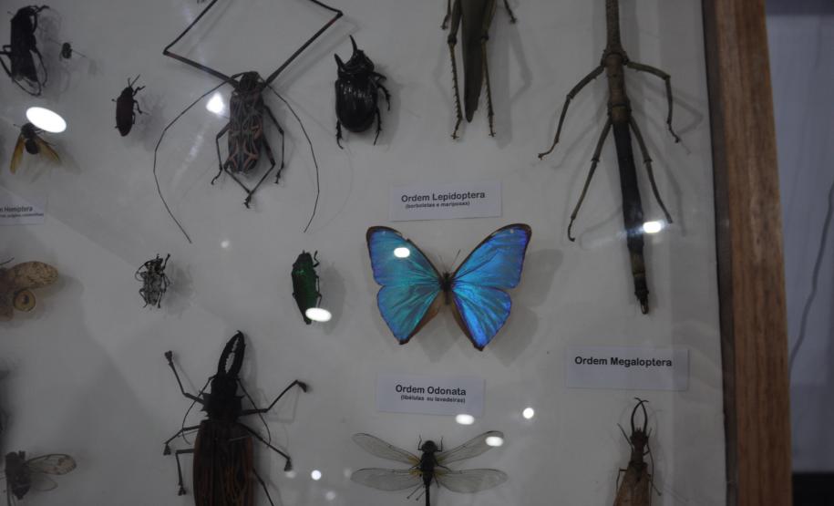 Estado apresenta suas ações de fomento científico e tecnológico focadas na pesquisa