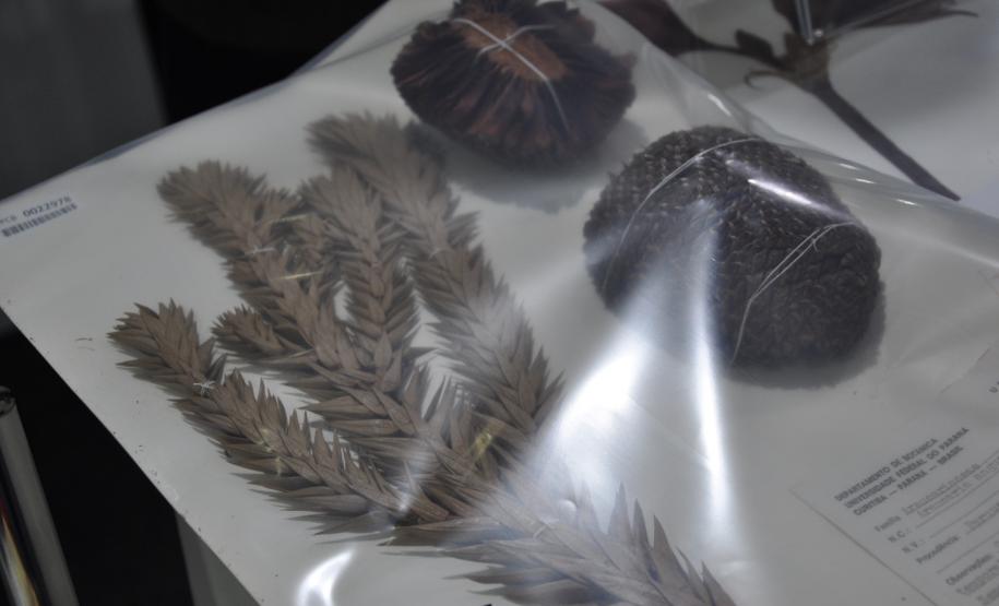 Estado apresenta suas ações de fomento científico e tecnológico focadas na pesquisa