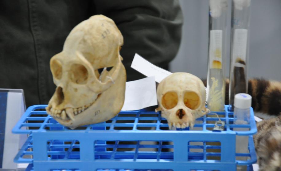 Estado apresenta suas ações de fomento científico e tecnológico focadas na pesquisa