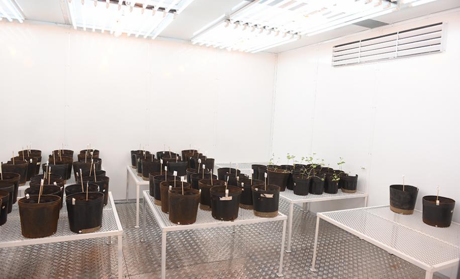 UENP instala equipamento de cultivo controlado de plantas para auxiliar em pesquisas