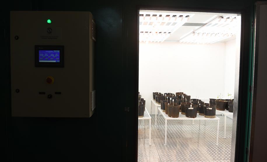 UENP instala equipamento de cultivo controlado de plantas para auxiliar em pesquisas