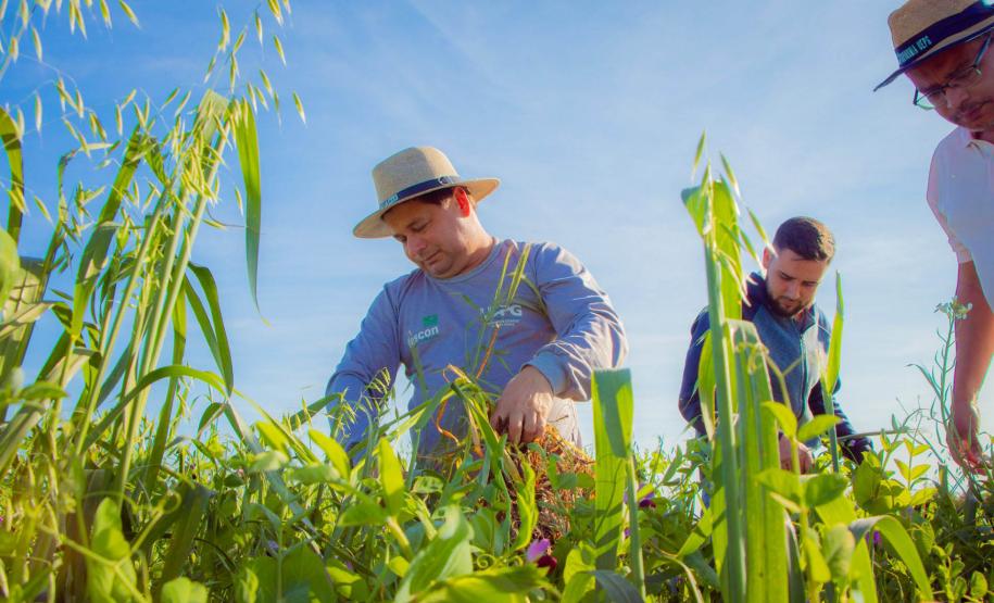 Fazenda Escola da UEPG reduz emissão de 400 toneladas de carbono por safra