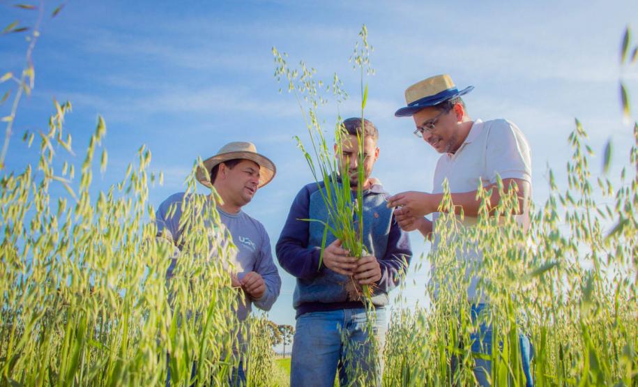 Fazenda Escola da UEPG reduz emissão de 400 toneladas de carbono por safra