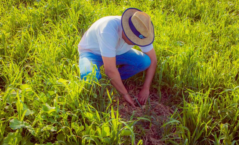Fazenda Escola da UEPG reduz emissão de 400 toneladas de carbono por safra