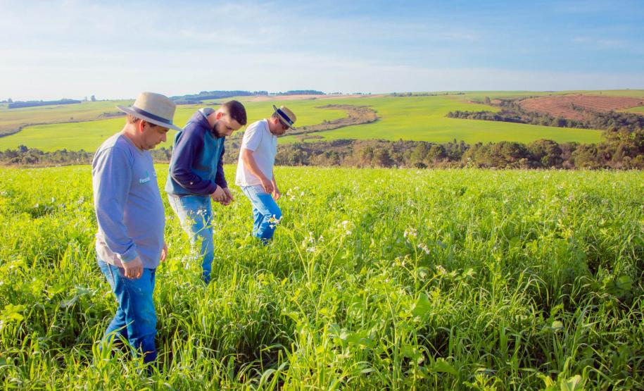 Fazenda Escola da UEPG reduz emissão de 400 toneladas de carbono por safra