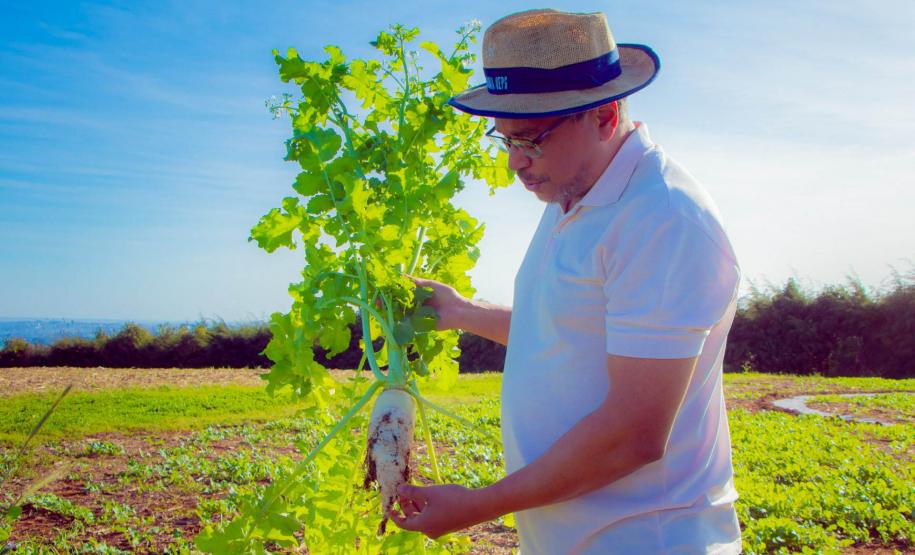 Fazenda Escola da UEPG reduz emissão de 400 toneladas de carbono por safra