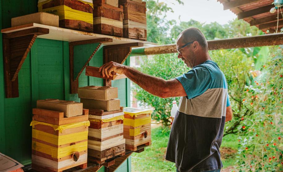 Com apoio do Estado, projeto que estimula produção de mel em Morretes completa um ano