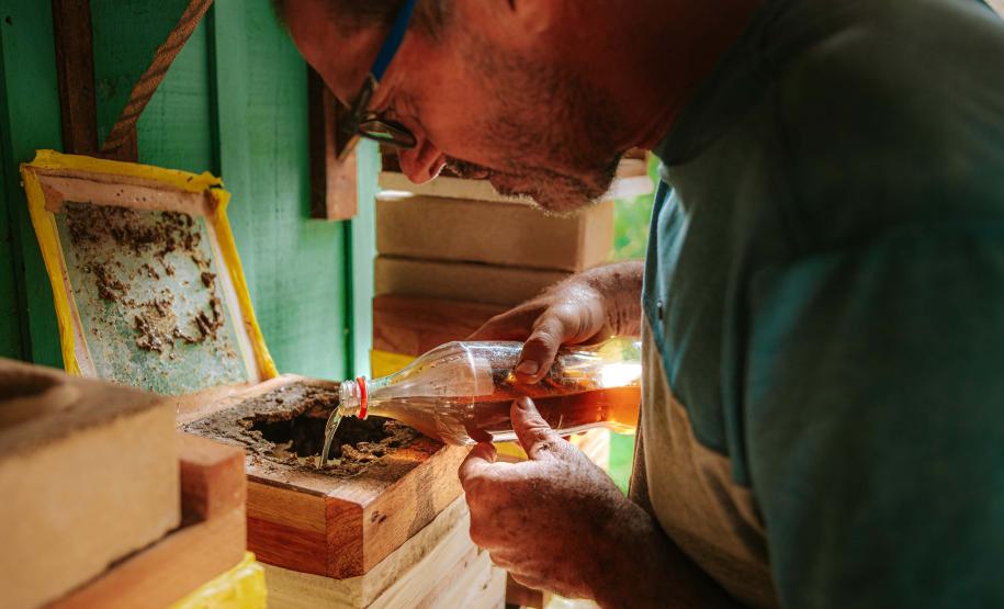Com apoio do Estado, projeto que estimula produção de mel em Morretes completa um ano